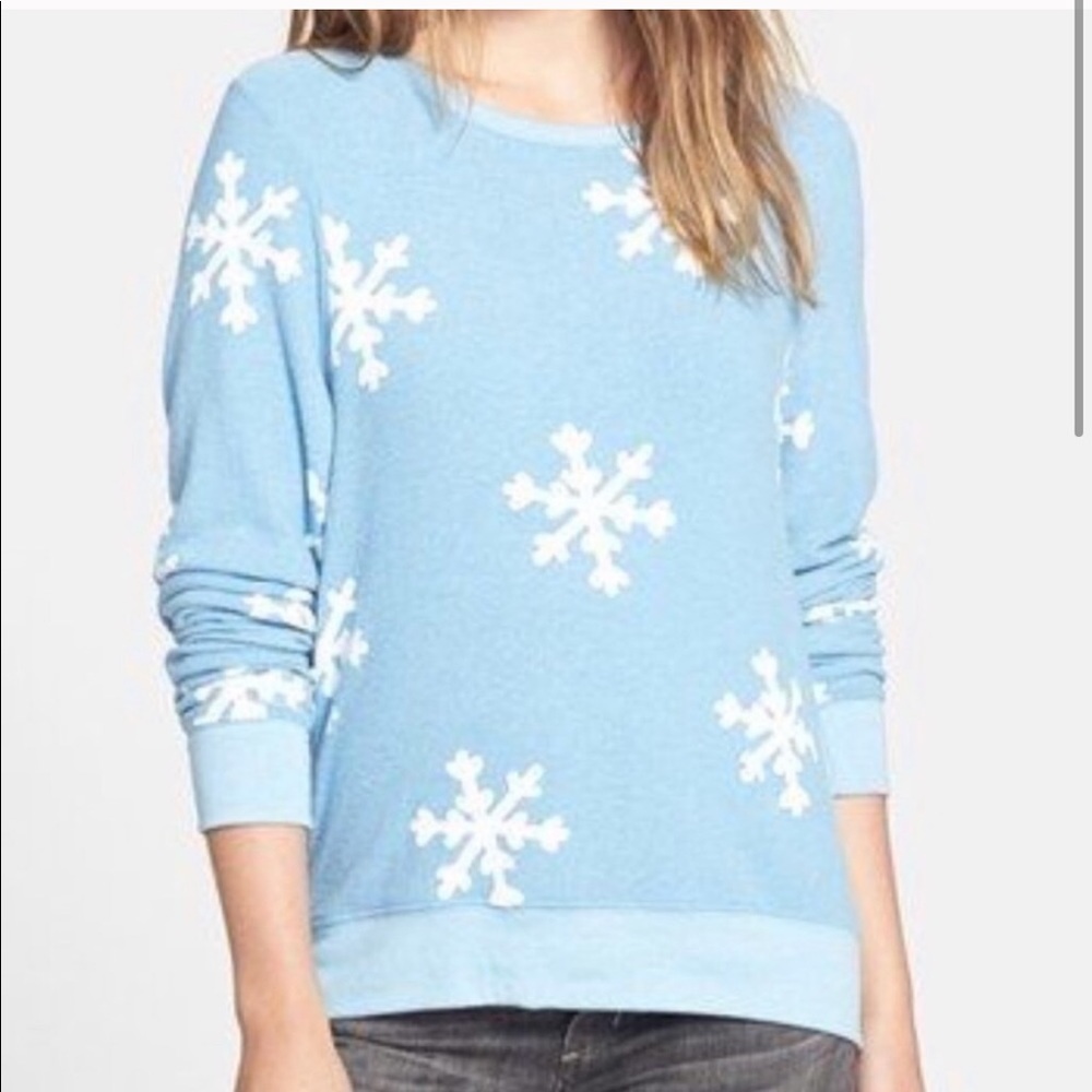 Wildfox sweater- wildfox sweatshirt